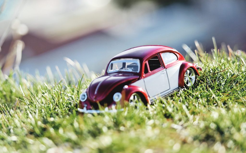 Spring Maintenance Advice